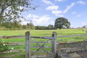 Photo 14- click for photo gallery